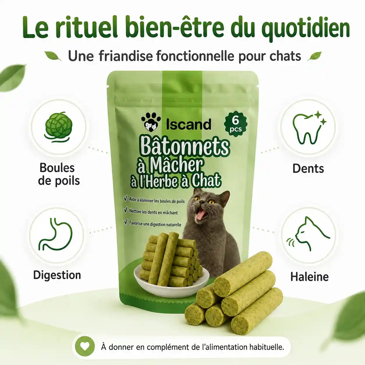 Bâtonnets à Mâcher à l'Herbe à Chat