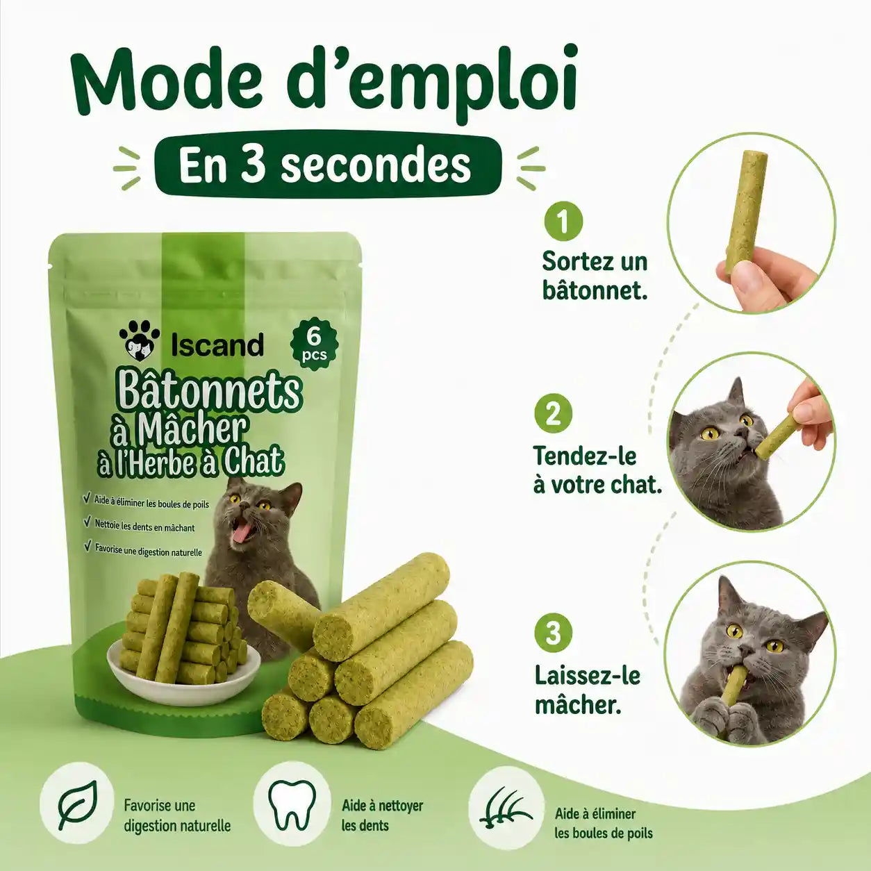Bâtonnets à Mâcher à l'Herbe à Chat