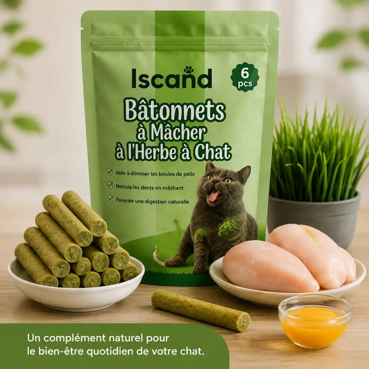 Bâtonnets à Mâcher à l'Herbe à Chat