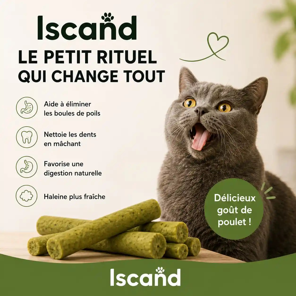 Bâtonnets à Mâcher à l'Herbe à Chat