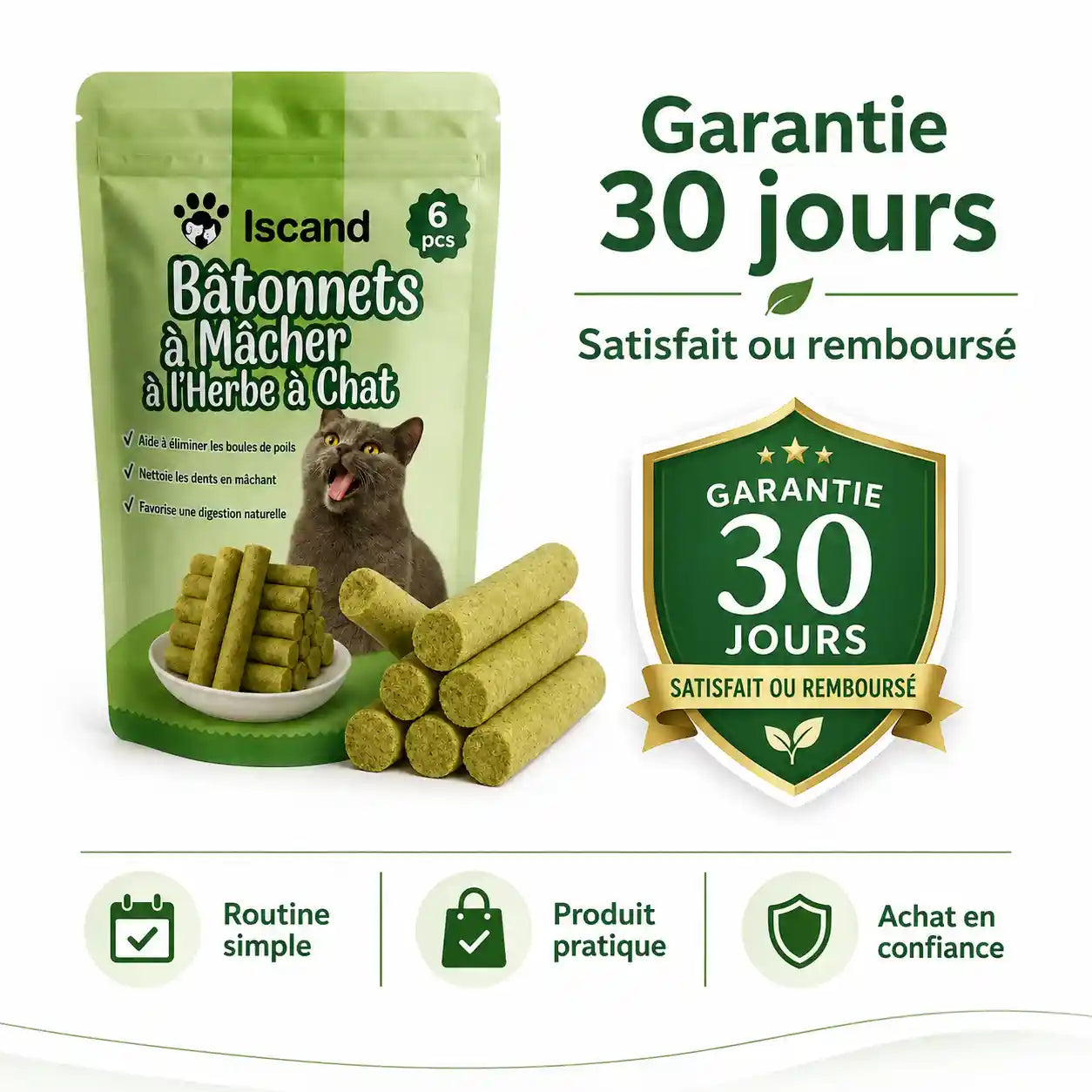 Bâtonnets à Mâcher à l'Herbe à Chat