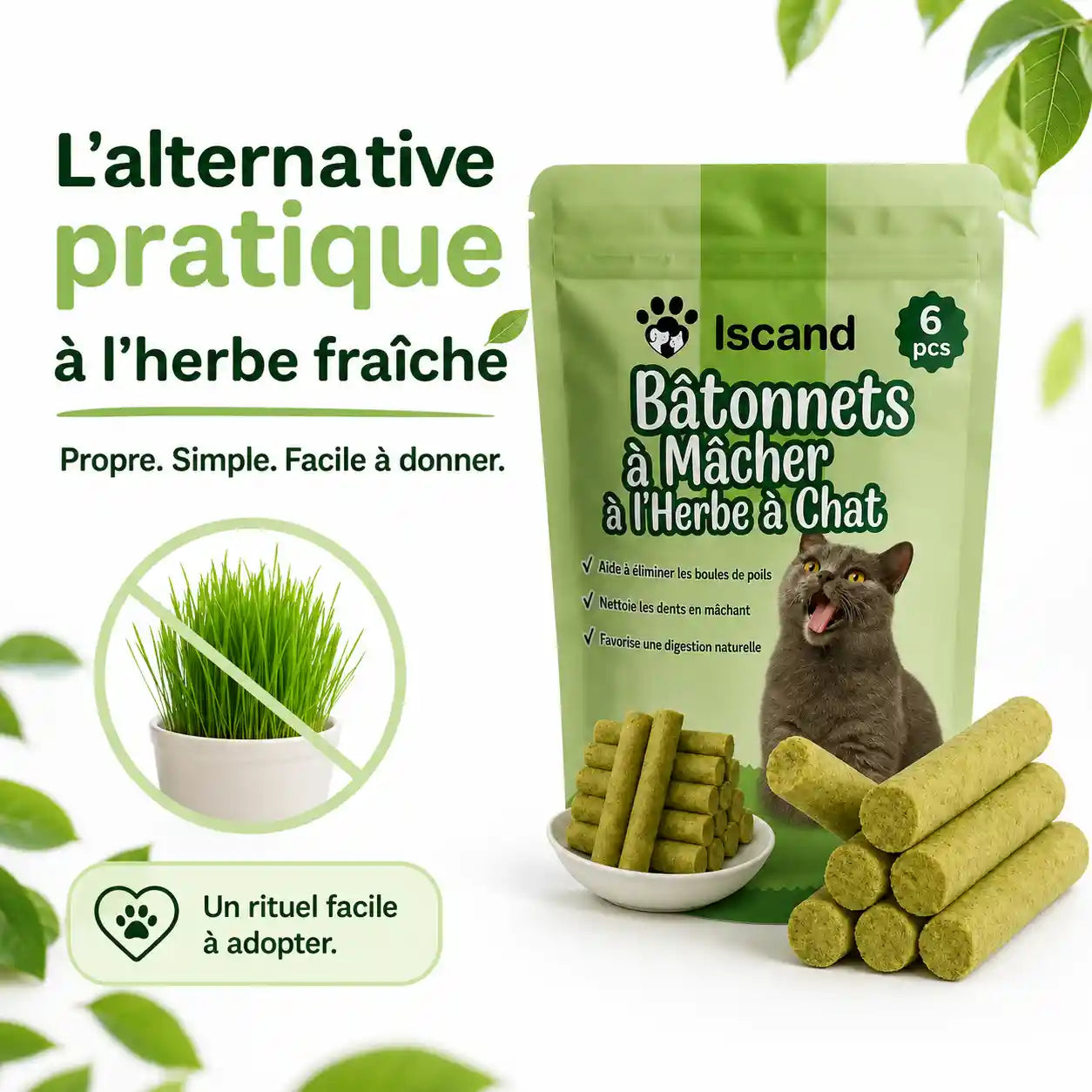 Bâtonnets à Mâcher à l'Herbe à Chat