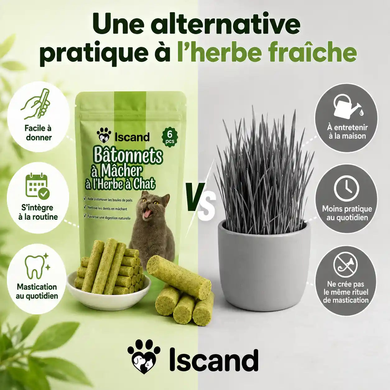 Bâtonnets à Mâcher à l'Herbe à Chat
